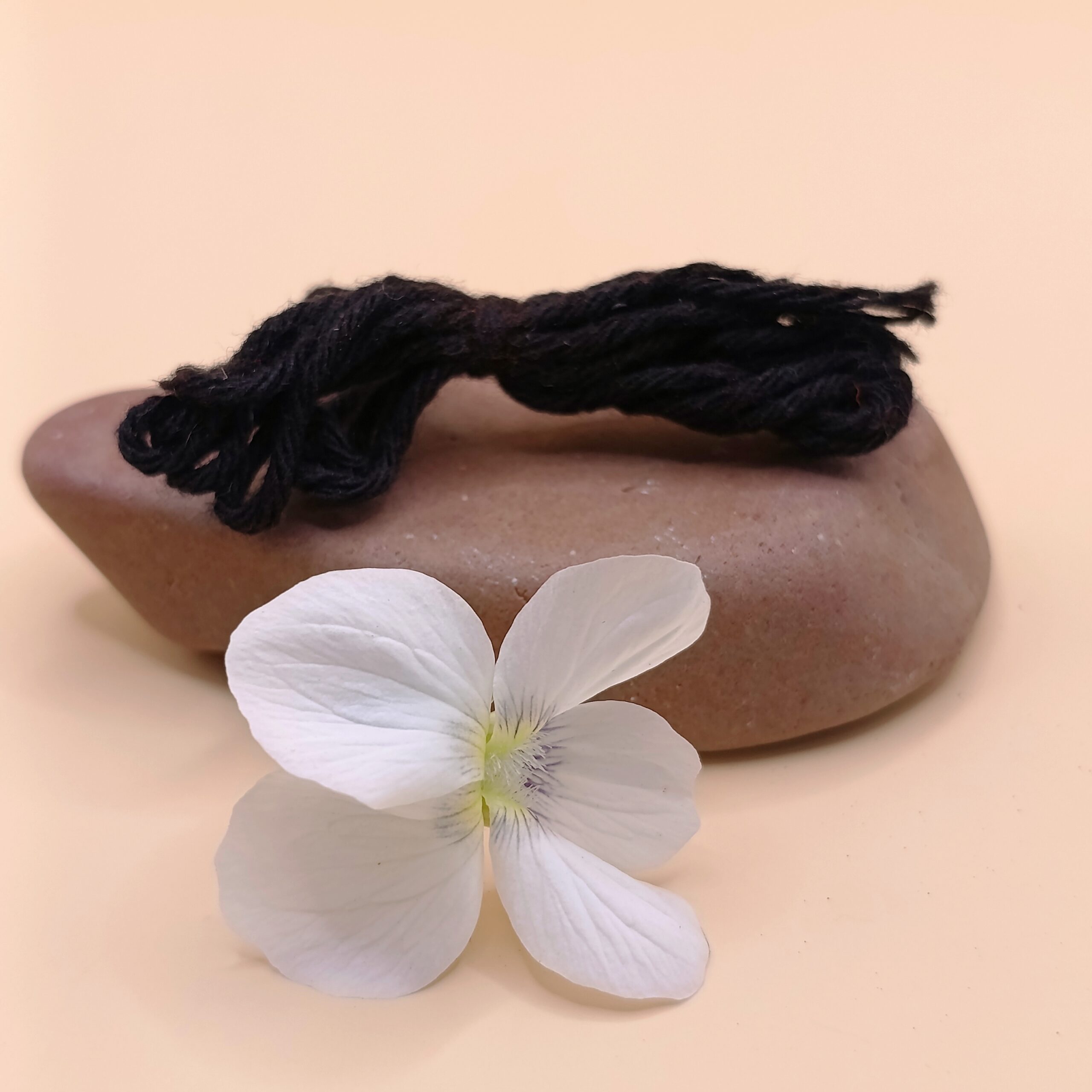 abhaya sutra
