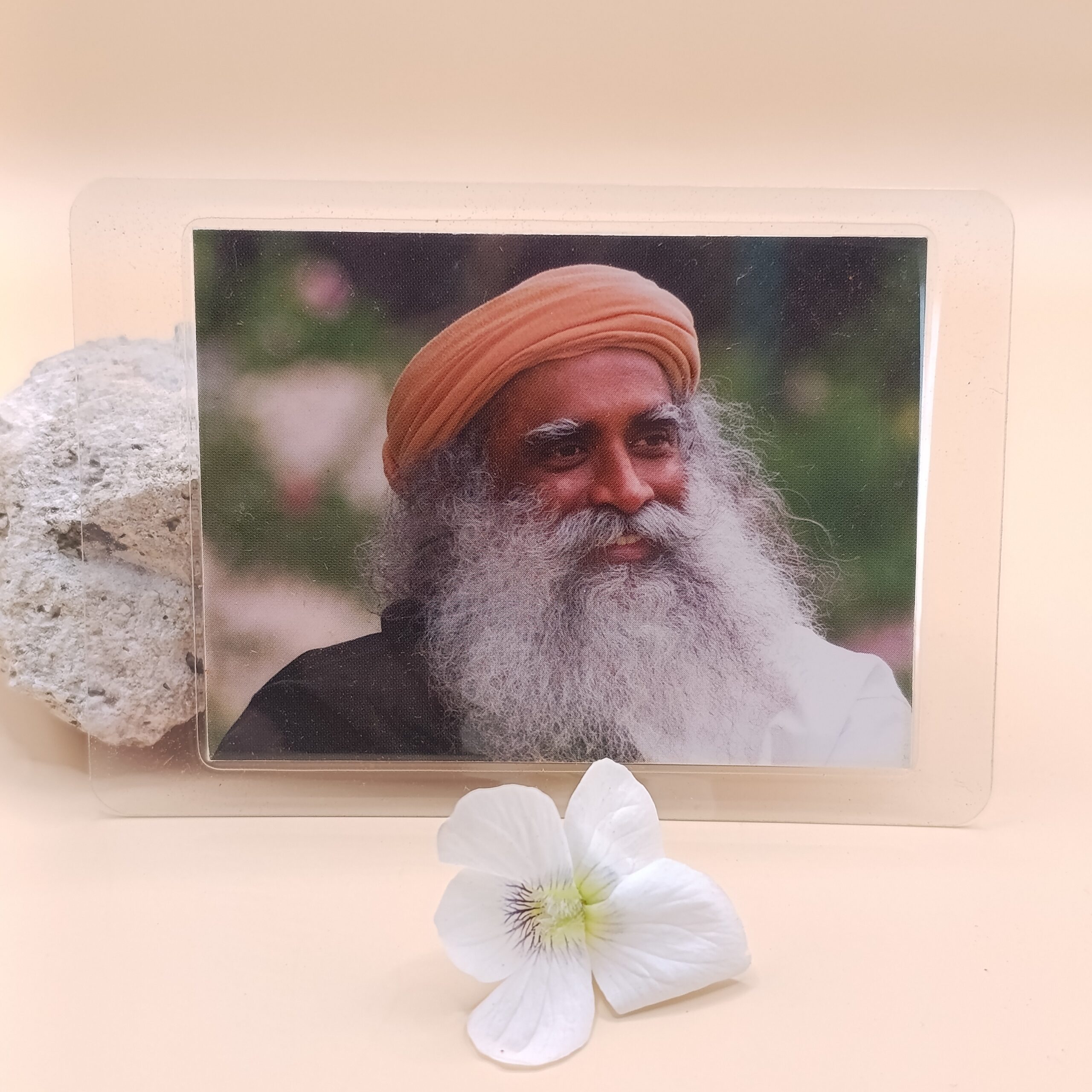 sadhguru pocket photo